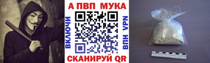 дарнет шоп  Волосово  Альфа ПВП СК КРИС 