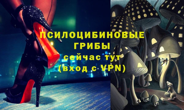крисы Аксай
