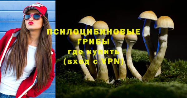 спиды Белоозёрский