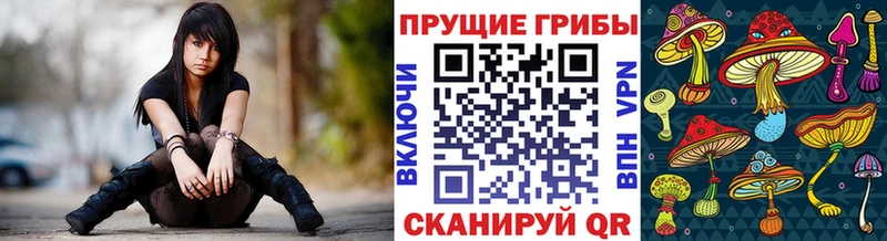 Галлюциногенные грибы GOLDEN TEACHER это официальный сайт блэк спрут онион Волосово купить